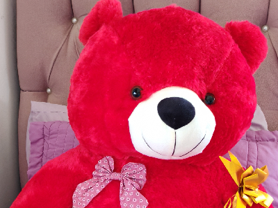 دب-احمر-حجم-ضخم