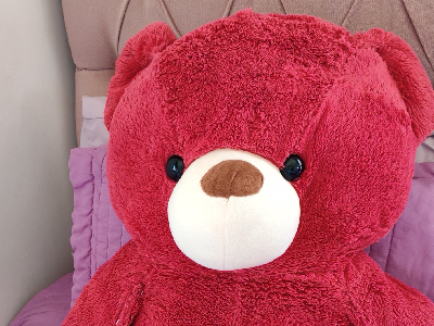 دب-احمر-طويل