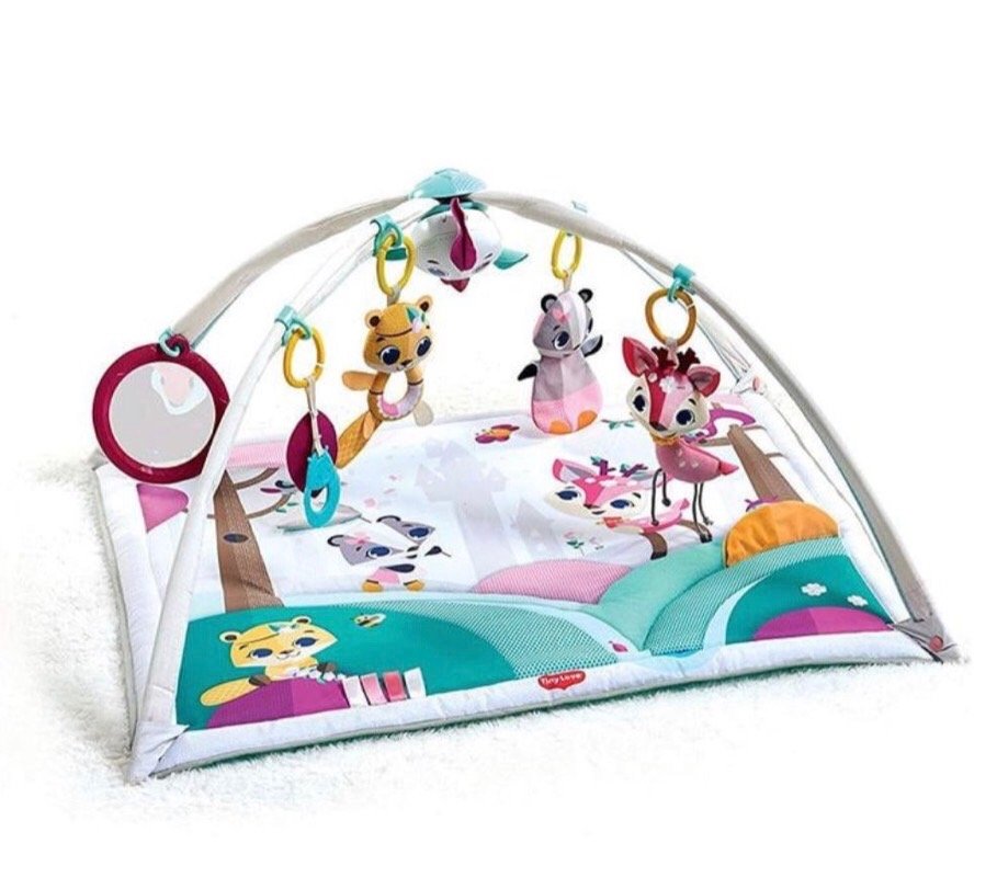 فرشة-تعليمية