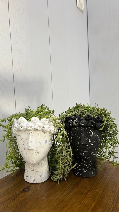 آواني-ورد-طبيعي-عدد-2