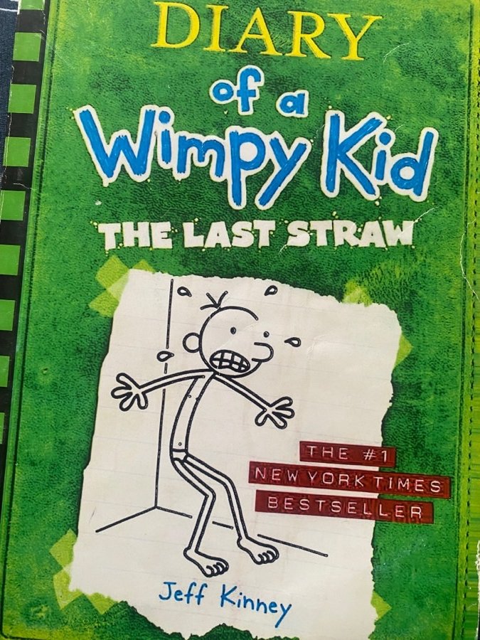 diary-of-a-wimpy-kid,-the-last-straw