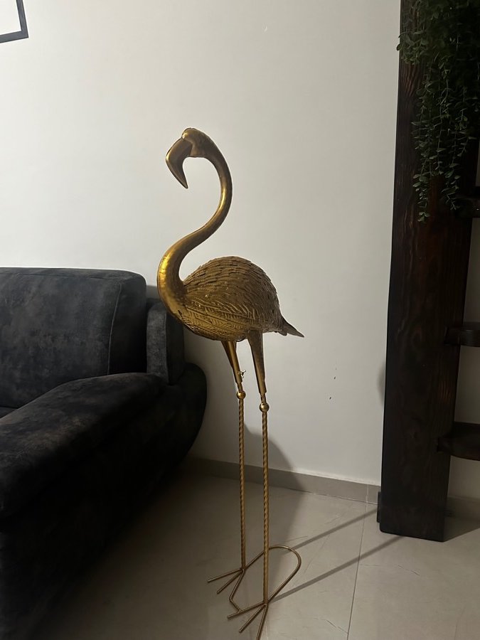 فلامنجو-حجم-كبير