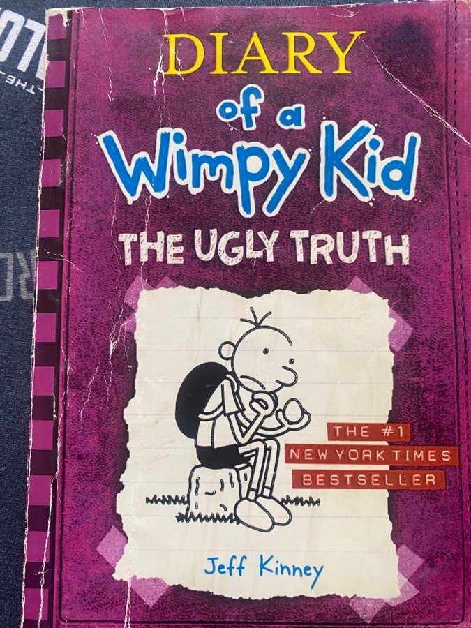 diary-of-a-wimpy-kid,-the-ugly-truth